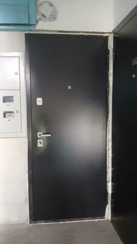 Толстяк Букле черный Грецкий орех фото 2